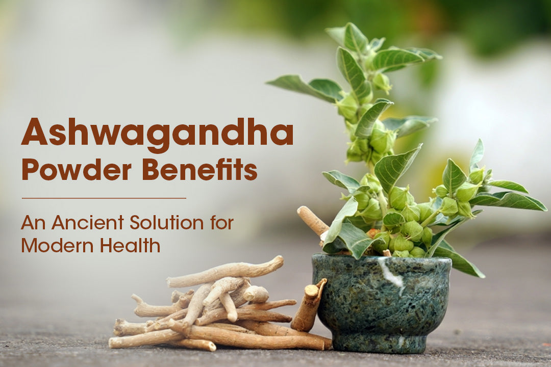 Ashwagandha Powder Benefits: An Ancient Solution For Modern Health