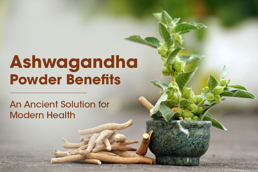 Ashwagandha Powder Benefits: An Ancient Solution for Modern Health