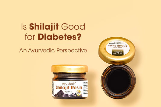 Is Shilajit Good for Diabetes? An Ayurvedic Perspective