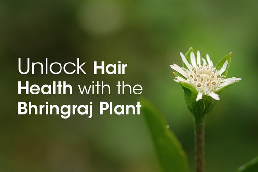 Unlock Hair Health with the Bhringraj Plant