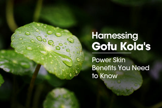 Harnessing Gotu Kola's Power: Skin Benefits You Need to Know