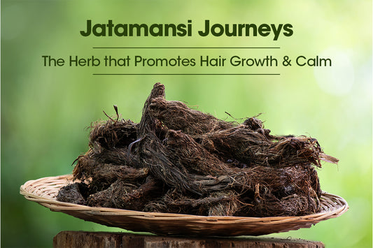 Jatamansi Journeys: The Herb that Promotes Hair Growth and Calm