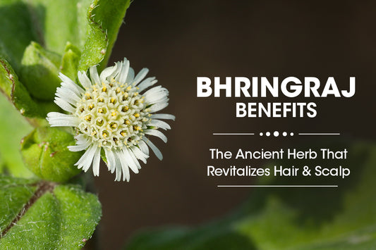 Bhringraj Benefits: The Ancient Herb That Revitalizes Hair and Scalp