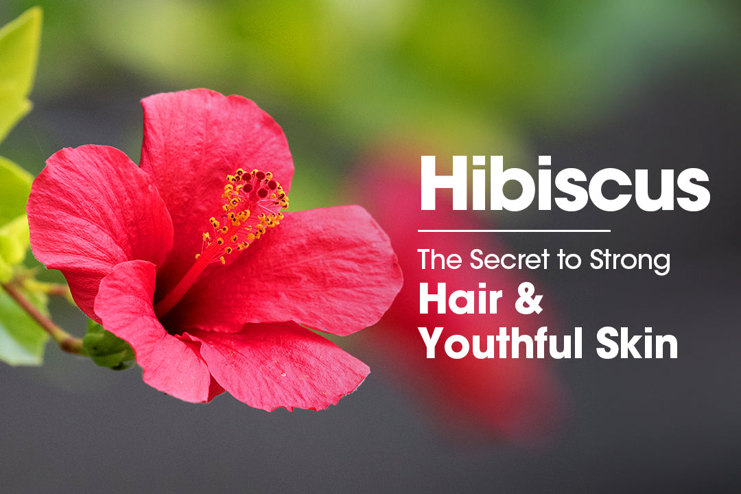 Hibiscus: The Secret to Strong Hair and Youthful Skin