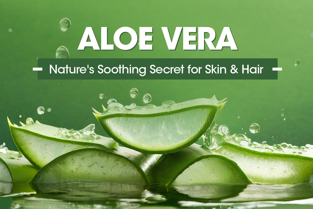 Aloe Vera: Nature's Soothing Secret for Skin and Hair