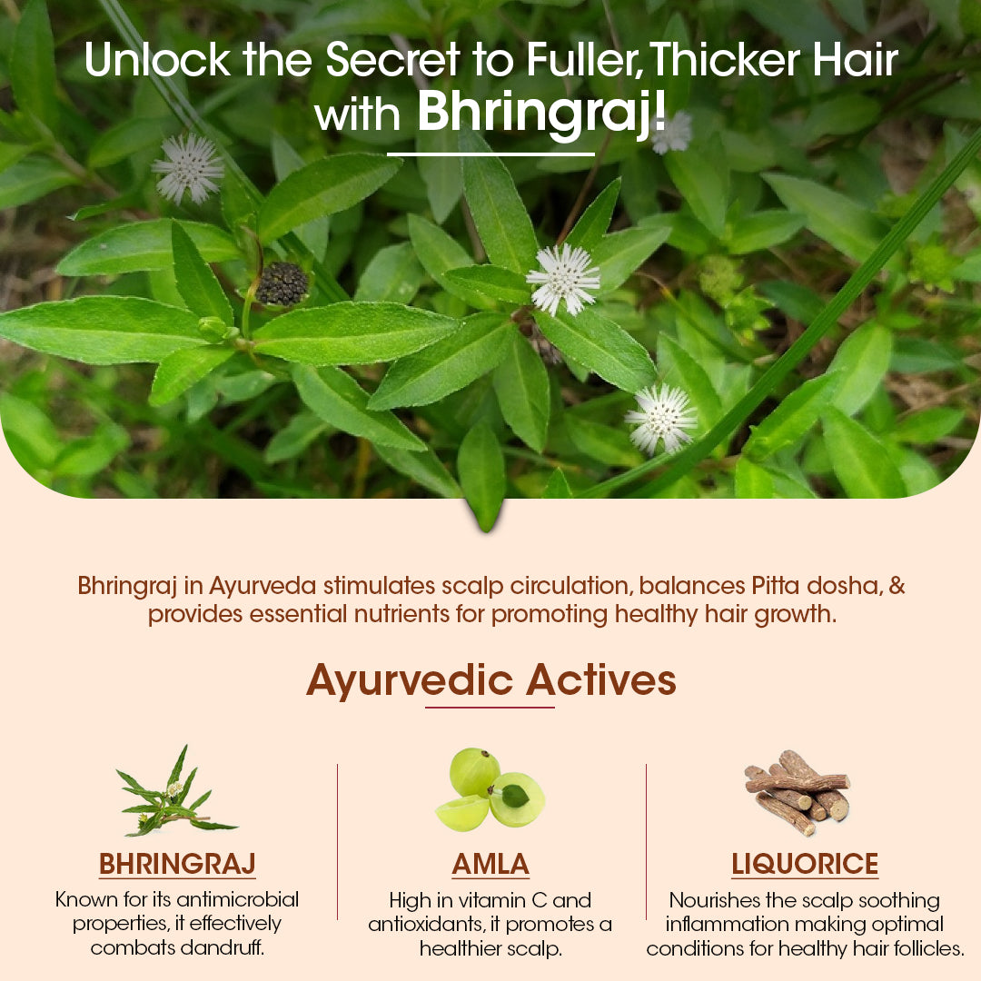 BhringaBali Hair Oil