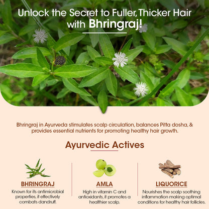 BhringaBali Hair Oil